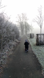 frosty-walk